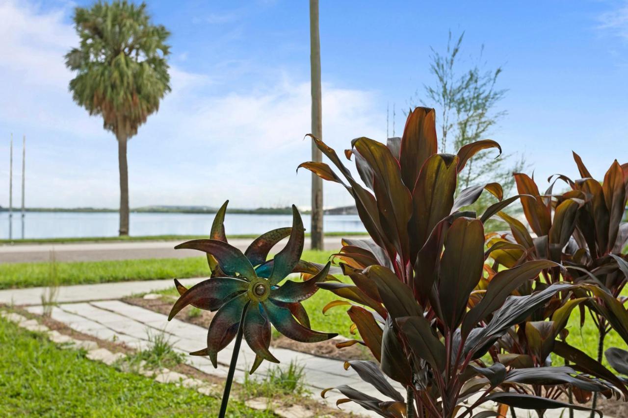 Bayside Safari 1Bed 1 Bath Apartment Tampa Ngoại thất bức ảnh