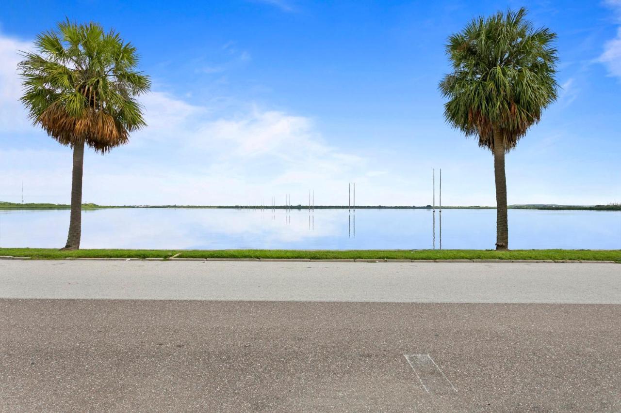 Bayside Safari 1Bed 1 Bath Apartment Tampa Ngoại thất bức ảnh